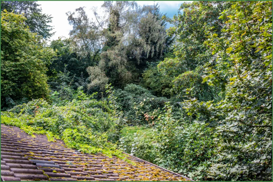 Gartensicht vom Obergeschoss