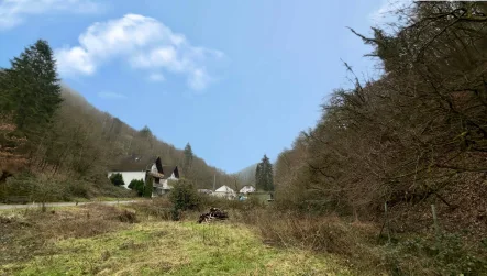 Grundstück - Neefer Bachtal - Grundstück kaufen in Neef - Voll erschlossen - Grundstück in idyllischem Seitental der Mosel gelegen