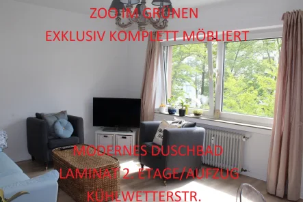 Wohnzimmer1 - Wohnung mieten in Düsseldorf - ZOO IM GRÜNEN EXKLUSIV KOMPLETT MÖBLIERT MODERNES DUSCHBAD LAMINAT 2. ETAGE/AUFZUG KÜHLWETTERSTR.