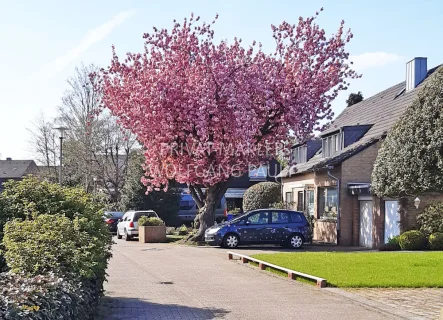 Seitenansicht - Haus kaufen in Willich / Schiefbahn - 4-Familien-Haus ++ Mal was für Ihr ganz persönliches Familien-Wohnkonzept