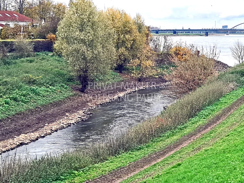 Rhein flußabwärts