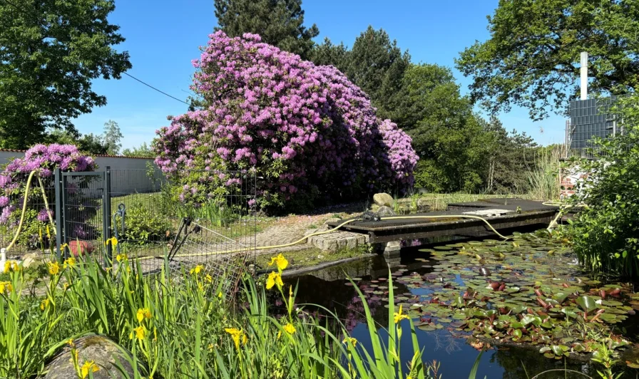 Gartenteich