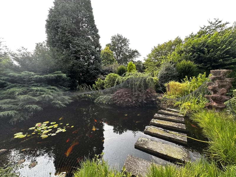 Gartenteich