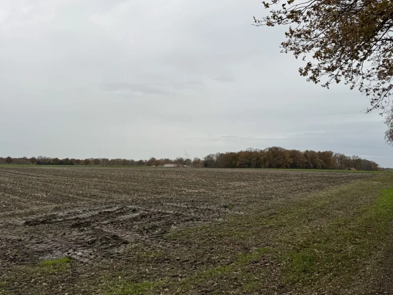  - Land- und Forstwirtschaft kaufen in Ahaus / Hörsteloe - Pachtfreie Ackerfläche in Ahaus-Ottenstein "Neue Land" zu verkaufen!