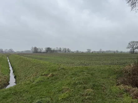  - Grundstück kaufen in Vreden - Ackerfläche in Vreden "Lünter Mark" zu verkaufen!