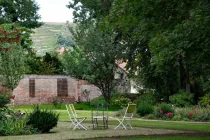 Blick auf die weinberge