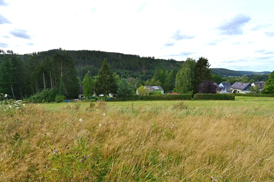  - Grundstück kaufen in Hellenthal - Hellenthal-Blumenthal: Wohnen, wo andere Urlaub machen!