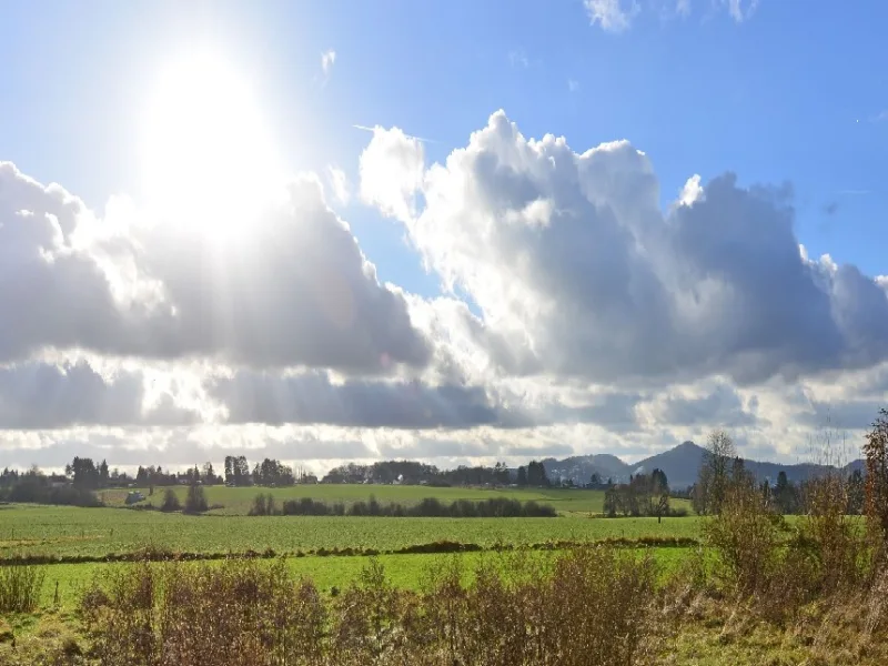 Ausblick - Grundstück kaufen in Hennef - Außergewöhnlich sonniges Baugrundstück mit unverbaubarem Blick ins Grüne