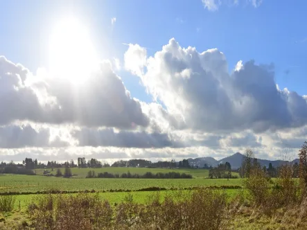 Ausblick - Grundstück kaufen in Hennef - Außergewöhnlich sonniges Baugrundstück mit unverbaubarem Blick ins Grüne