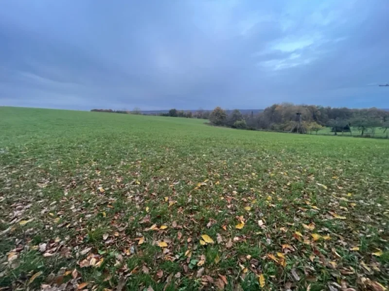  - Land- und Forstwirtschaft kaufen in Eitorf - Eitorf Höhenlage - Landwirtschaft 