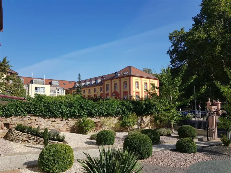 Vorgarten 1 - Büro/Praxis mieten in Kirchheimbolanden - EUPORA® Immobilien: Praxisräume in einem historischen Anwesen in Kirchheimbolanden.