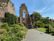 Burg Hayn