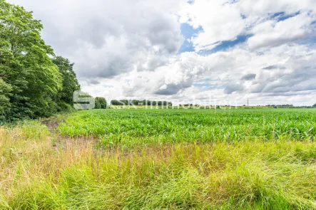 135278 Ackerland - Land- und Forstwirtschaft kaufen in Erftstadt / Lechenich - Ackerland in Erftstadt!