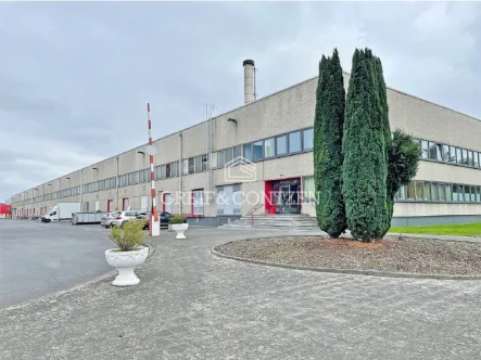 Gebäudeansicht - Halle/Lager/Produktion mieten in Kerpen - Cross-Dock-Lager | 30 Rampen | Sprinkleranlage | Büroflächen