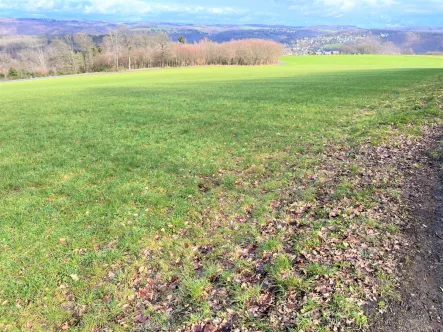  - Grundstück kaufen in Windeck - Grünland, Ackerland und Wald in Windeck