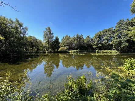  - Land- und Forstwirtschaft kaufen in Halver - Idyllisch gelegene Teichanlage mit angrenzenden Waldflächen