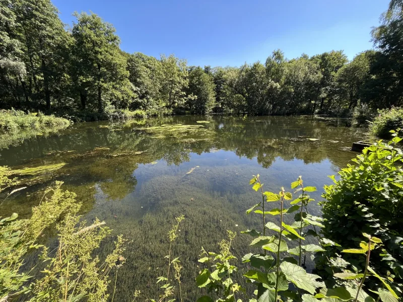 Westlicher Teich