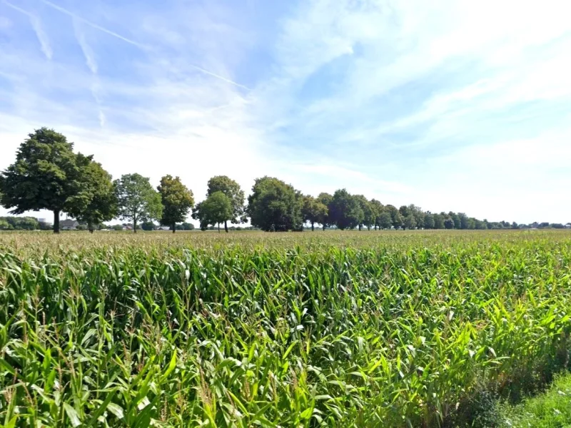  - Grundstück kaufen in Voerde - Ackerfläche von ca. 5 ha in Voerde (Niederrhein)