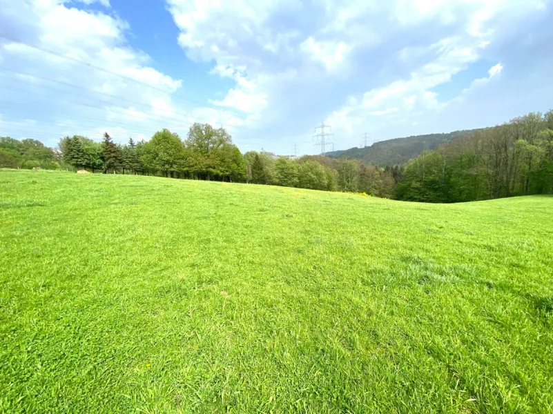  - Grundstück kaufen in Windeck - Grünland- und Waldflächen in Windeck