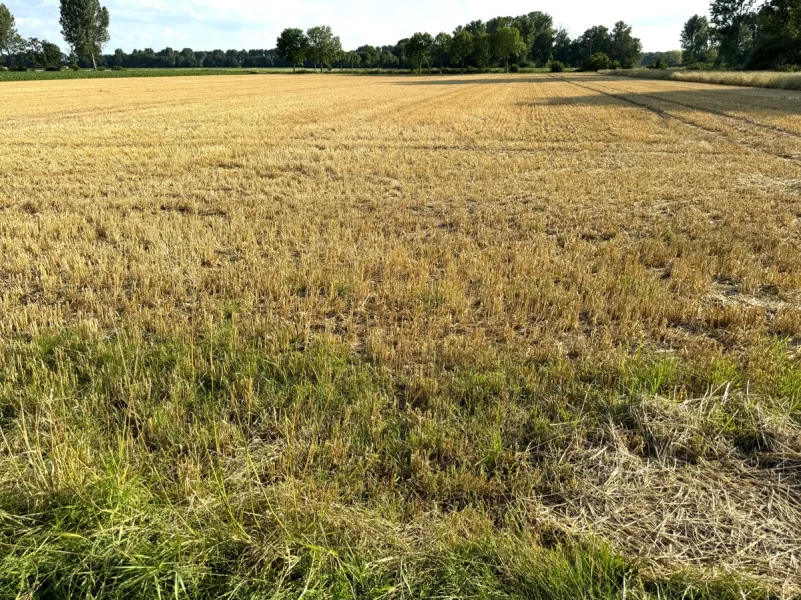  - Grundstück kaufen in Wassenberg / Effeld - Ackerfläche in Wassenberg