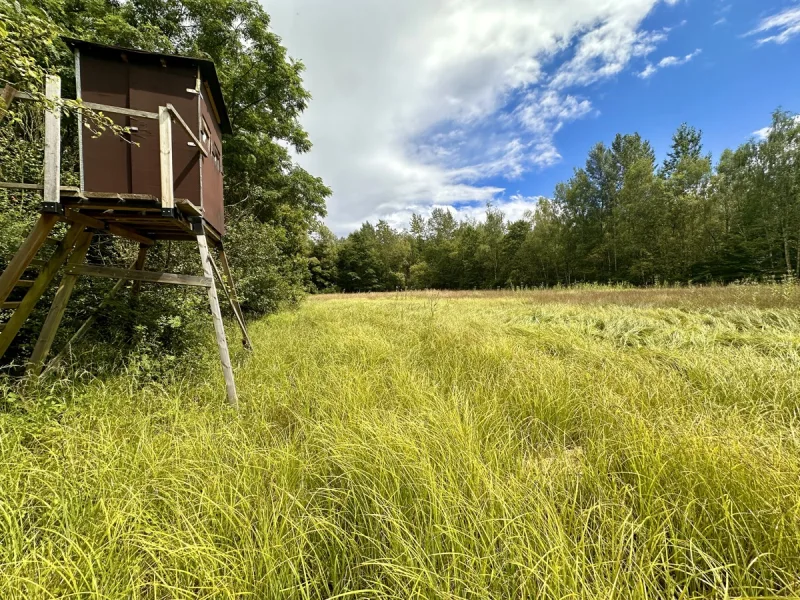 Wildwiese mit Ansitzkanzel