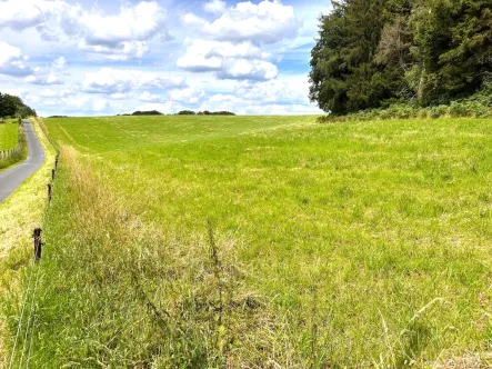  - Grundstück kaufen in Wermelskirchen - Grünlandfläche in Wermelskirchen