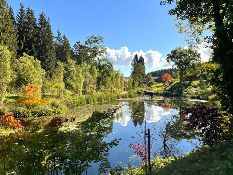 Blick über den Fischteich auf das Wohnhaus