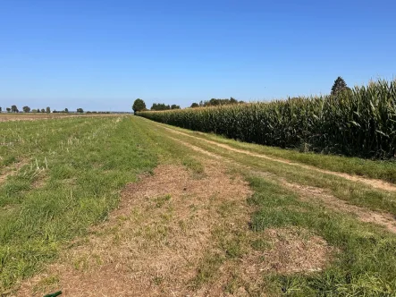 Titelbild - Grundstück kaufen in Euskirchen - 3,3 ha Ackerland in Euskirchen