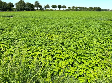  - Grundstück kaufen in Korschenbroich - Ackerland in Korschenbroich