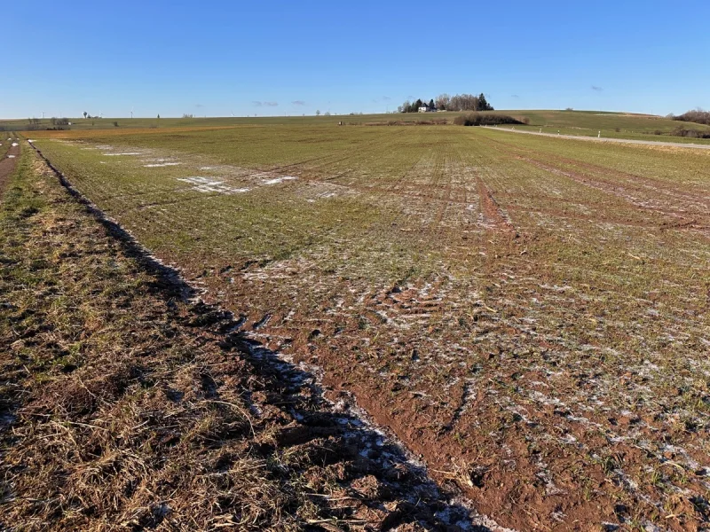  - Grundstück kaufen in Gerhardsbrunn - Ackerland bei Landstuhl