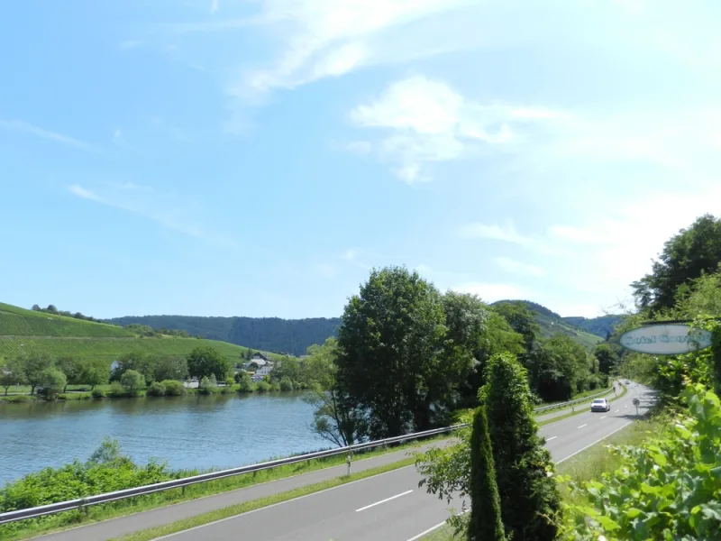 Blick auf Traben-Trarbach