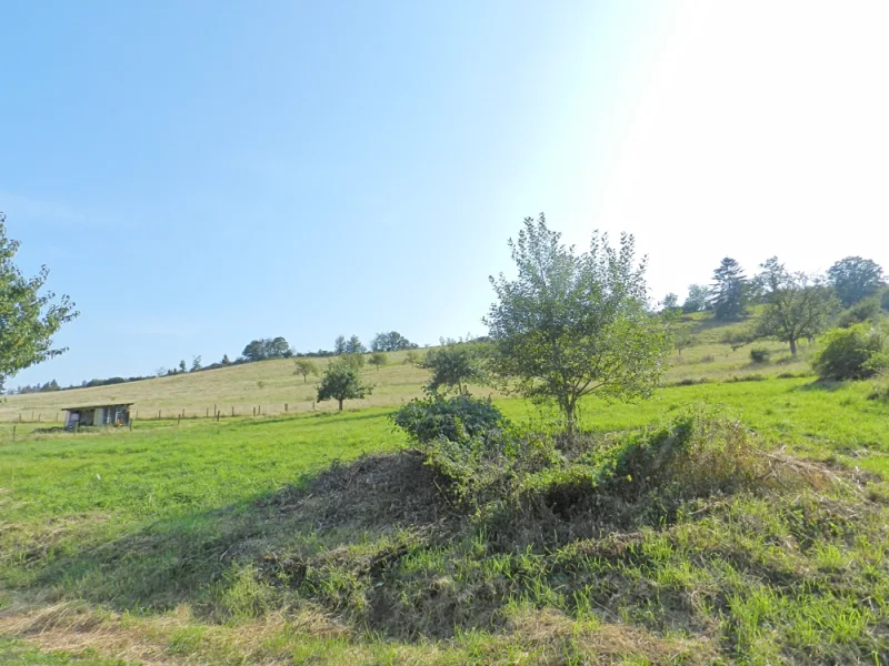 separates Wiesengrundstück