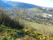 Blick vom Grundstück Richtung Traben-Trarbach