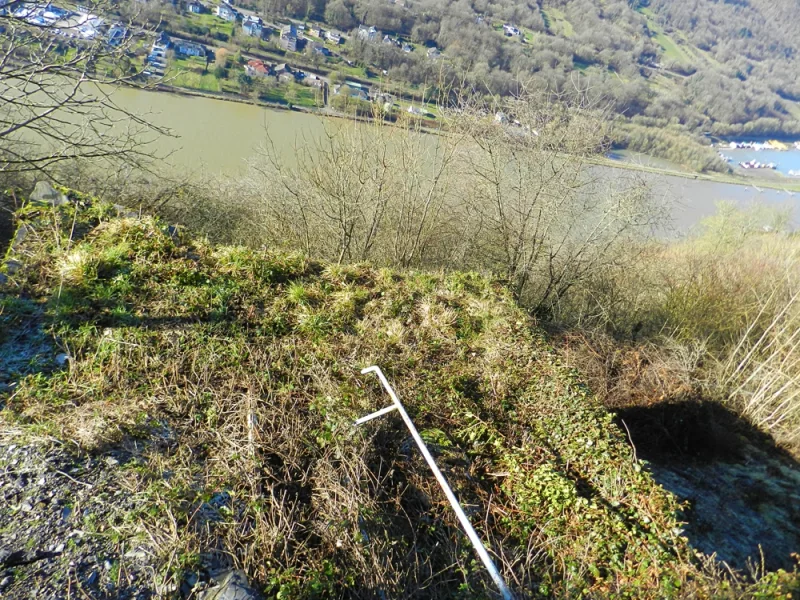 Freifläche zur Mosel