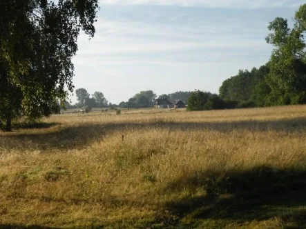 Bild5.jpg - Grundstück kaufen in Kołczewo - Schöne Grundstücke zwischen Ostsee und Bodden