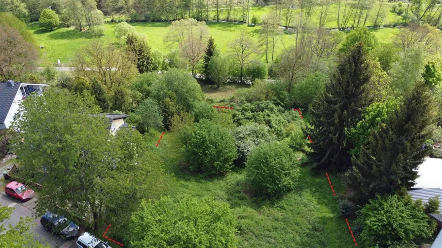 herrliche Naturlage, hinten: Bachlauf