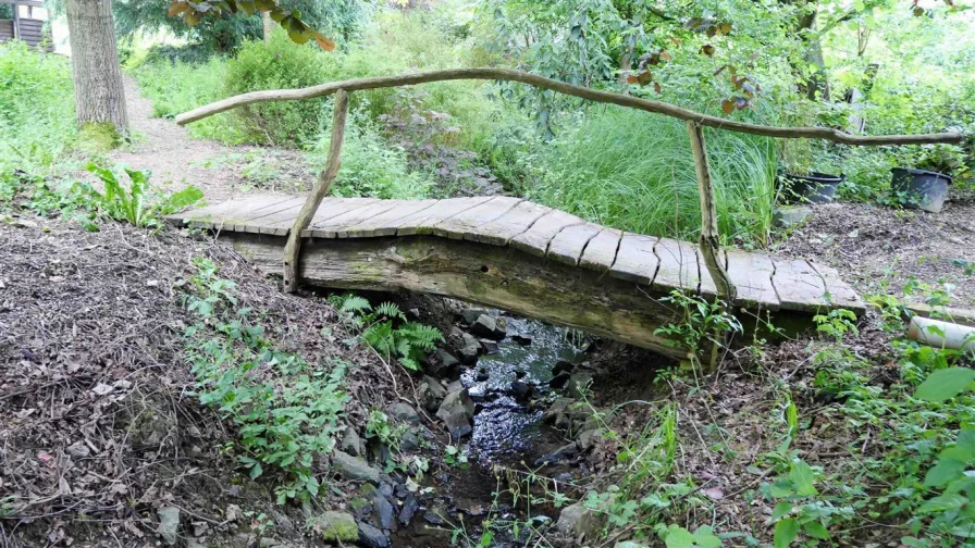 Bachlauf mit Holz-/Naturbrücke