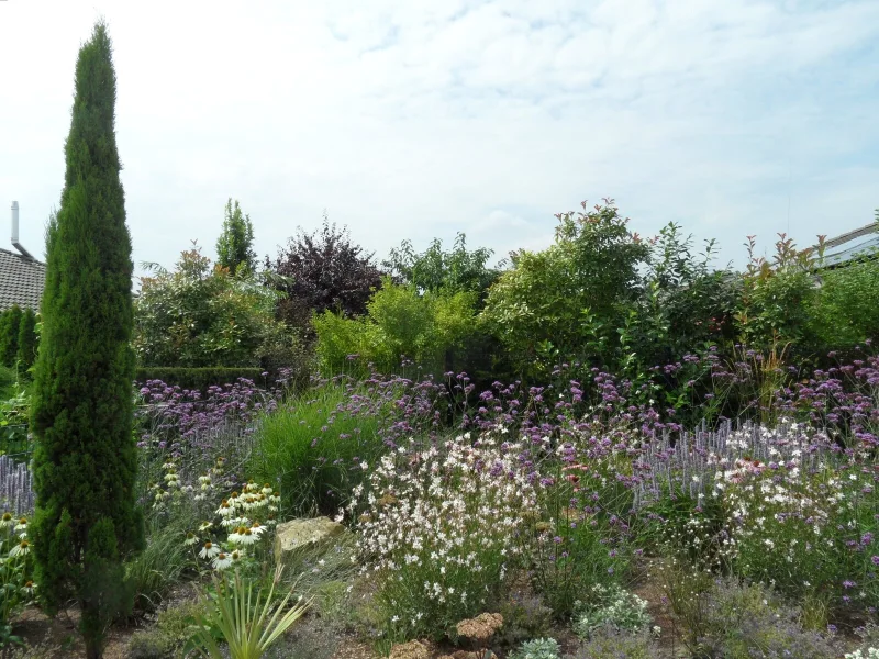 schöne Gartenoption - Haus kaufen in Münster - Schmuckes, junges Einfamilienhaus! Hochinteressant auch für Anleger!