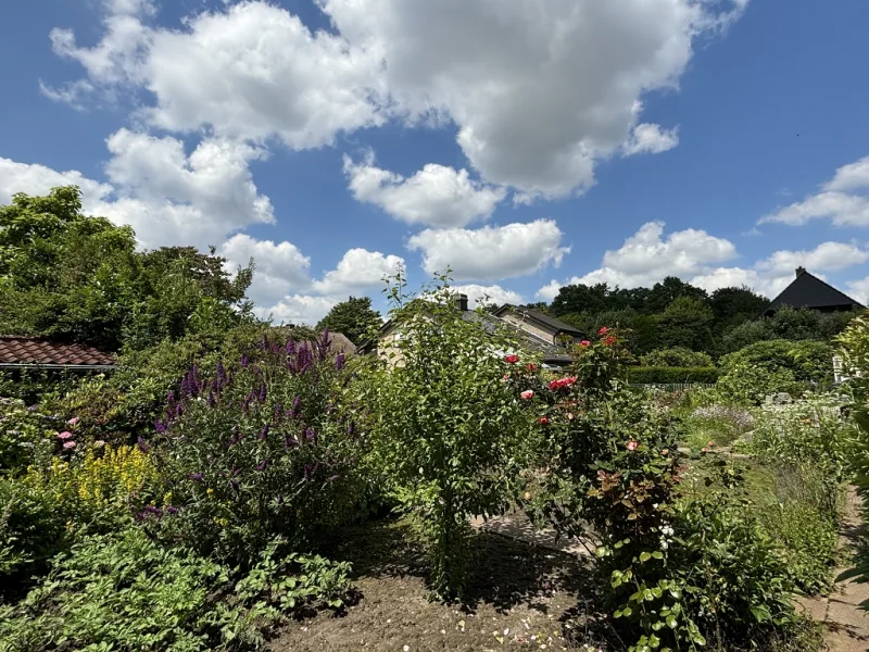 Blick in den Garten