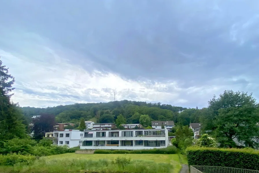 3309 Ausblick Loggia a - Wohnung kaufen in Bonn / Kessenich - Vermietete 2-Zimmer-Wohnung mit Loggia / Aufzug im Haus / Zentrums- und Uninähe