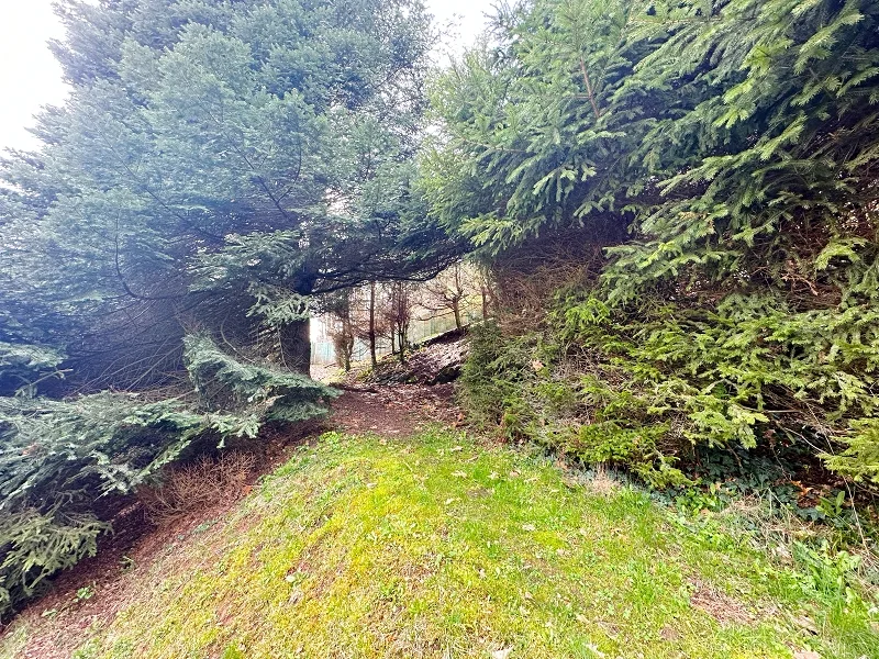 Zugang zum Waldweg