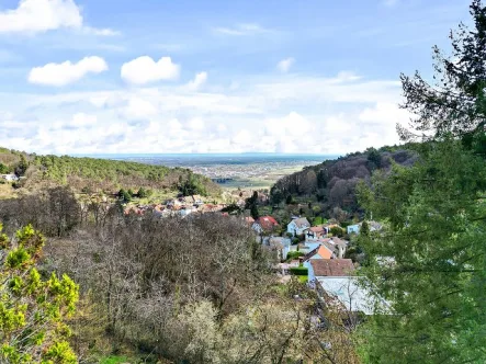 Aussicht - Grundstück kaufen in Neustadt - Grundstück für Neubebauung mit Altbestand in beliebter Höhenlage von Hambach