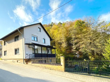 Straßenseite - Haus kaufen in Weidenthal - Für Naturliebhaber: Geräumiges Familienhaus mit großem Garten und Bachlauf am Waldrand gelegen