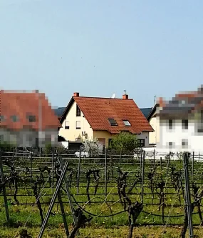 Außenansicht - Haus kaufen in Meckenheim - Attraktive Doppelhaushälfte mit schönem Garten, Garage und Stellplatz in beliebter Lage Meckenheim