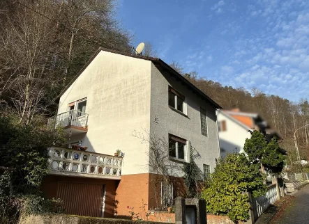 Straßenseite Richtung Wald - Haus kaufen in Neidenfels - Zum Selbstgestalten: Naturnah und sehr ruhig gelegenes Einfamilienhaus in Neidenfels