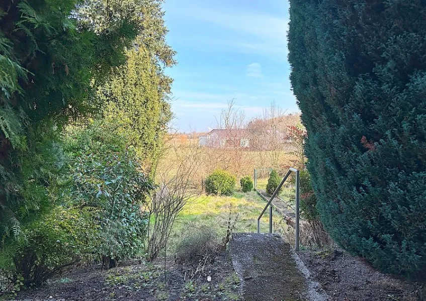 Garten und Terrasse