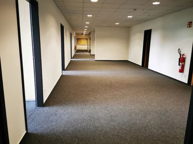  - Büro/Praxis mieten in Hahn-Airport - Moderne Büroflächen ca. 447 m² - PROVISIONSFREI - 55483 Flughafen Hahn zu vermieten