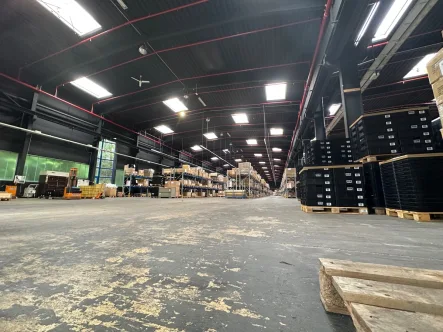  - Halle/Lager/Produktion mieten in Barntrup - Lager- /Produktionshalle ca. 5.000 m², teilbar ab 2.500 m², in 32863 Barntrup ab 1.6.24 zu vermieten