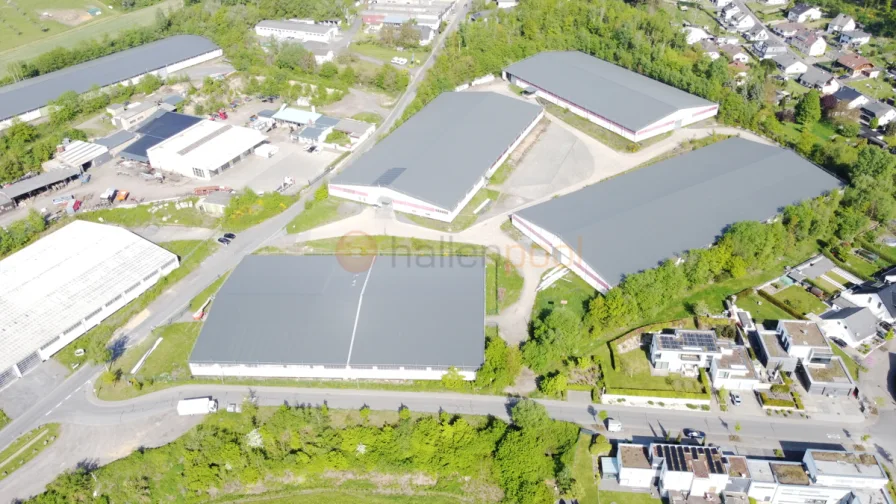  - Halle/Lager/Produktion mieten in Andernach - Lagerhallen ca. 4.000 m² - ca. 24.800 m², Rampen, PROVISIONSFREI in 56626 Andernach zu vermieten