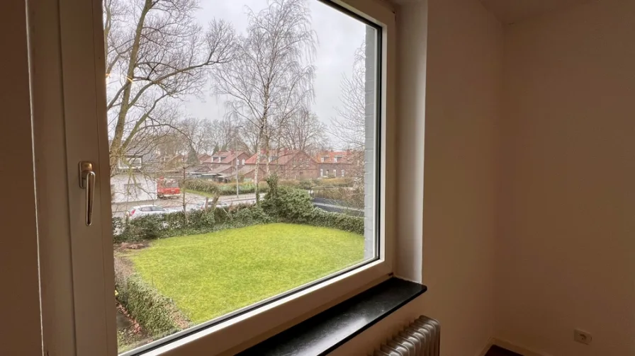 Fenster Wohnzimmer